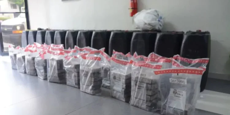 Incautan 1,200 gramos de cocaína y otras sustancias durante operativos en Barahona
