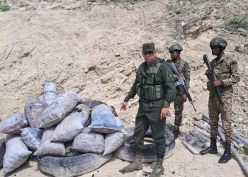Autoridades incautan carbón y cigarrillos ilegales en operativo en Jimaní