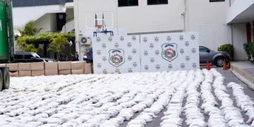 Arrestan a hombre vinculado a 334 paquetes de cocaína incautados en Puerto Multimodal Caucedo