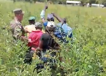 Apresan grupo de inmigrantes indocumentados escondido en matorrales en San Juan de la Maguana