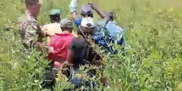 Apresan grupo de inmigrantes indocumentados escondido en matorrales en San Juan de la Maguana