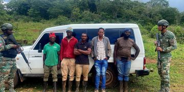 Detienen indocumentados en jeepeta con placa haitiana en Pedernales