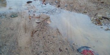 Sacerdote solicita arreglo de calles en SDN; dice niños llegan sucios del lodo a colegio católico San Miguel