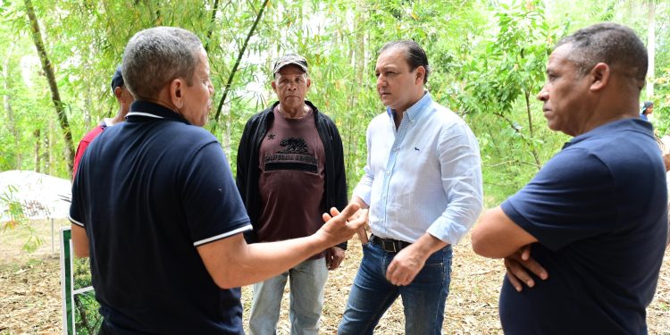 Abel Martínez a los agricultores dominicanos en su día: “Son quienes hacen florecer la patria desde la raíz”