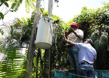 PGASE, SIE y EDEEste intervienen fábrica de hielo y una finca por fraude eléctrico en Guerra