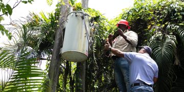 PGASE, SIE y EDEEste intervienen fábrica de hielo y una finca por fraude eléctrico en Guerra