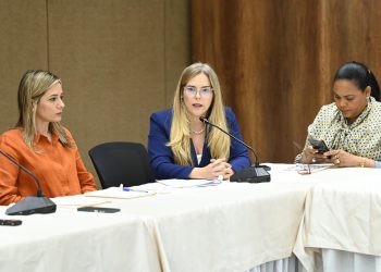 Proyecto de ley de las diputadas Carmen Ligia Barceló y Liz Mieses creará alerta Amber, Silver, Rosa y Azul para proteger a población vulnerable