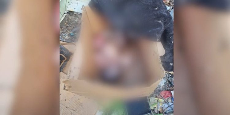 Hallan sin vida bebé de unos dos meses en vertedero de Juan de Herrera