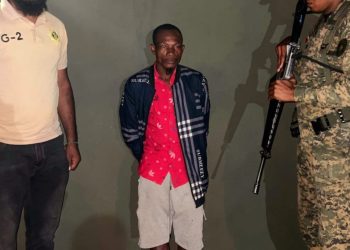 Hombre es detenido por llevar ocho haitianos e intentar sobornar agentes