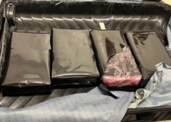 DNCD frusta envío de cocaína que serían enviadas hacia Australia