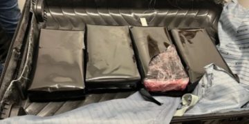 DNCD frusta envío de cocaína que serían enviadas hacia Australia