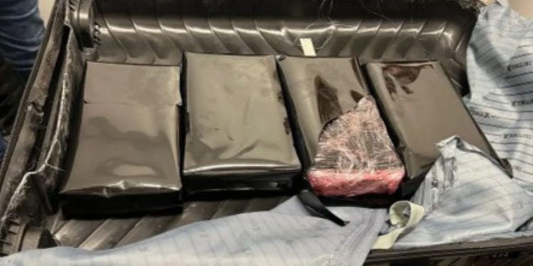 DNCD frusta envío de cocaína que serían enviadas hacia Australia