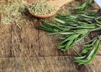 Comer romero a diario podría ser la clave para vivir más años