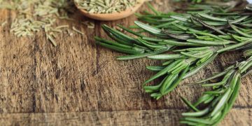 Comer romero a diario podría ser la clave para vivir más años