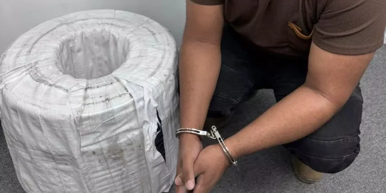 Policía Nacional arresta a hombre por robo de cables eléctricos de Edeeste