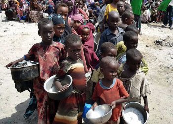 Solicitan US$46 millones para combatir el hambre de 2 millones de haitianos