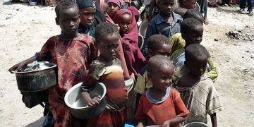 Solicitan US$46 millones para combatir el hambre de 2 millones de haitianos