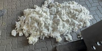 DNCD incauta en pañales más de 700 guantes quirúrgicos lleno de marihuana 