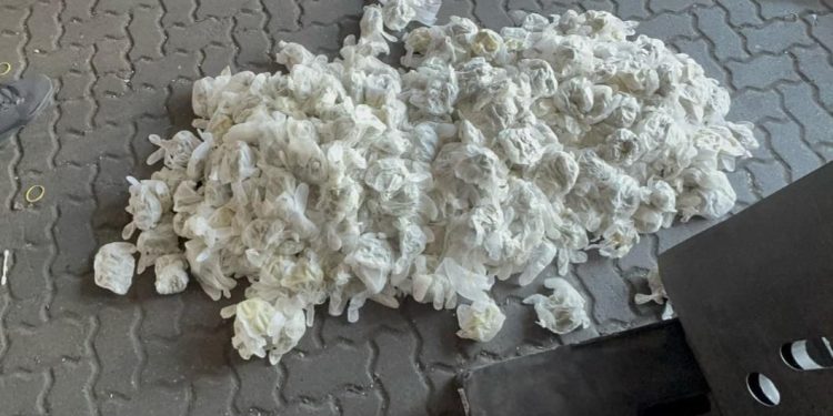 DNCD incauta en pañales más de 700 guantes quirúrgicos lleno de marihuana