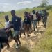 Apresan a 15 haitianos indocumentados en Dajabón