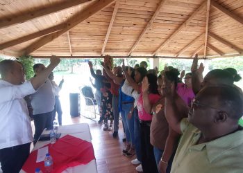 Dirigentes del PRM se juramentan en la FP en apoyo a Leonel Fernández y lanzan el movimiento nacional “República Fuerte”