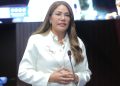 Diputada Carmen de la Rosa propone crear Colegio de Profesionales Farmacéuticos