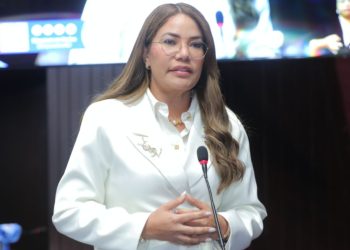 Diputada Carmen de la Rosa propone crear Colegio de Profesionales Farmacéuticos