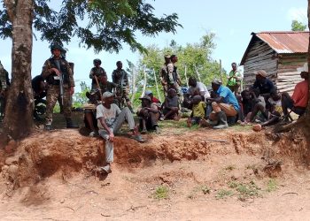 Ejército detiene haitianos indocumentados por depredación al medio ambiente en Dajabón