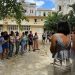 Tensión en Cuba por el aumento del precio de Internet