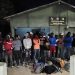 Dos grupos de migrantes indocumentados fueron interceptados en Dajabón y Montecristi