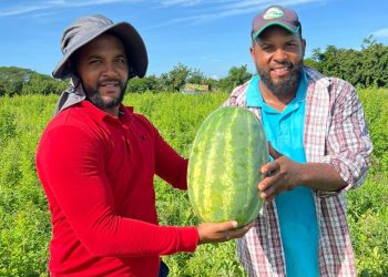 República Dominicana marca un hito en la agricultura con semillas de sandía de alto rendimiento