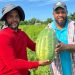 República Dominicana marca un hito en la agricultura con semillas de sandía de alto rendimiento