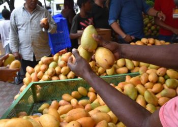 Expo Mango 2025 se celebrará desde 18 al 22 de junio en Baní