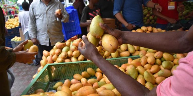 Expo Mango 2025 se celebrará desde 18 al 22 de junio en Baní