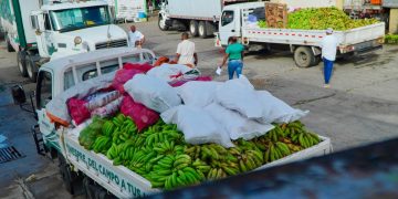 Inespre anuncia la “Ruta Caravana con Guineo a Peso”