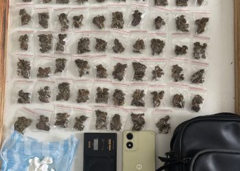 Policía recupera objetos robados, ocupa drogas, armas y frustra robo durante operativos en Villa Mella, SDN