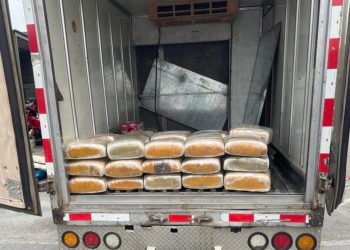 Interceptan hombre en Peravia con 243 libras presumiblemente marihuna