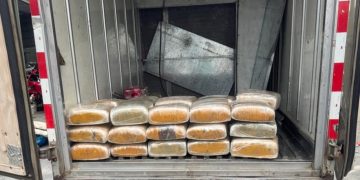 Interceptan hombre en Peravia con 243 libras presumiblemente marihuna