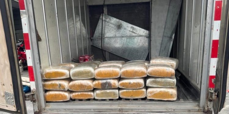 Interceptan hombre en Peravia con 243 libras presumiblemente marihuna