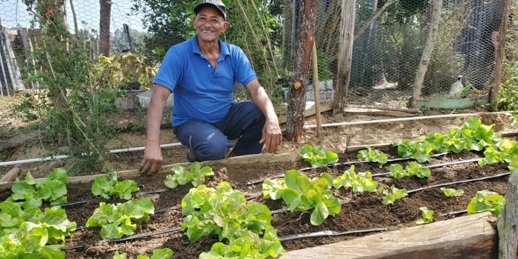 Proyecto Comunidades Caribeñas Resilientes: la degradación de suelo y escasez de agua son las principales amenazas de las comunidades rurales