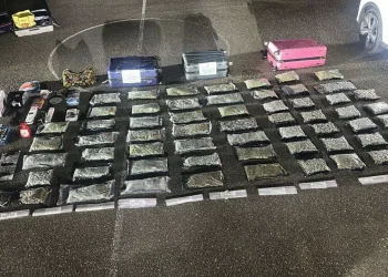 Desarticulan red de microtráfico en Santiago; ocupan 60 paquetes de marihuana y apresan a cinco personas