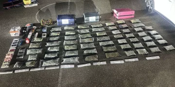 Desarticulan red de microtráfico en Santiago; ocupan 60 paquetes de marihuana y apresan a cinco personas