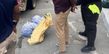 Capturan hombre en Peravia con 243 libras de presunta marihuana