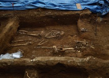 Osamentas en la Iglesia del Carmen serán conservadas in situ tras protocolo arqueológico