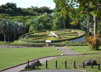 Senador del DN pide a Obras Públicas y Medio Ambiente explicar impacto al Jardín Botánico de ampliación de vía