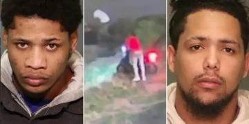 Detienen a dominicano que hirió a agente inmigración de Estados Unidos