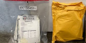 DNCD incauta 18 láminas de cocaína camufladas en cuadros de cartón
