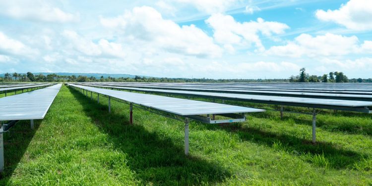 Parques solares Payita 1 y 2 aportarán 100 MW al sistema eléctrico nacional