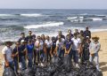 La Dirección General de Bellas Artes realiza jornada de limpieza en Playa las Tortugas