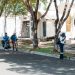 Alcaldía del DN refuerza reacondicionamiento de los principales cementerios previo al Día de los Padres